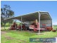 Wolli 2006 Old Winton Road, Tamworth NSW 2340