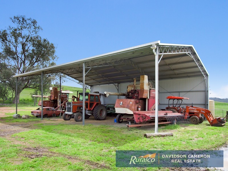 Wolli 2006 Old Winton Road, Tamworth NSW 2340