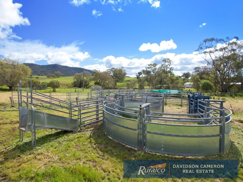 Wolli 2006 Old Winton Road, Tamworth NSW 2340