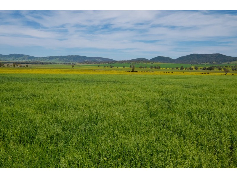 Glen Ayr 2291 Werris Creek Road, Tamworth NSW 2340