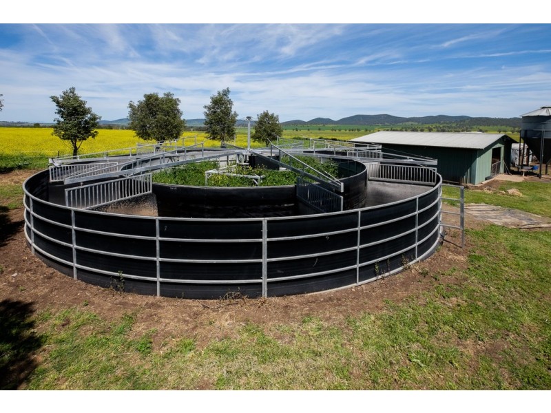 Glen Ayr 2291 Werris Creek Road, Tamworth NSW 2340