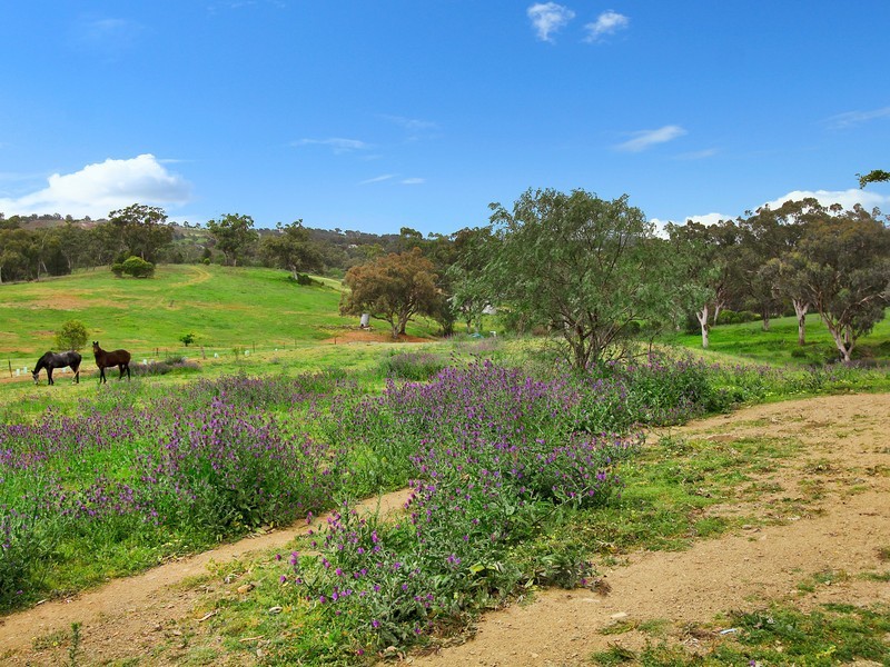 185A Daruka Road, Tamworth NSW 2340