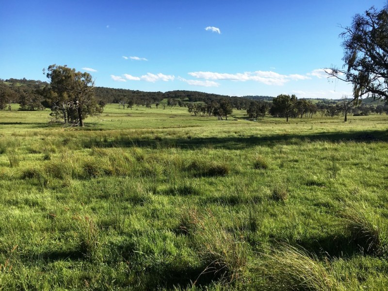 “Clifton” New England Highway, Bendemeer NSW 2355