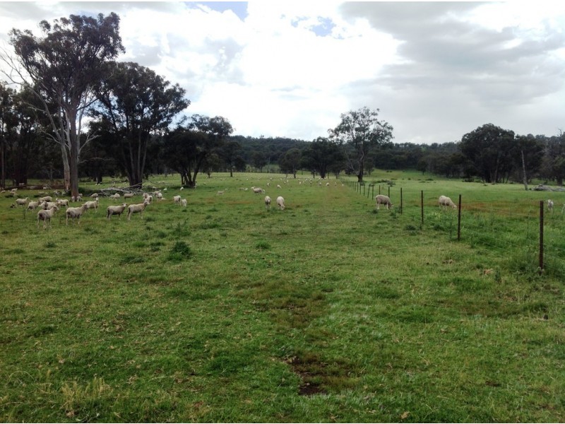 “Clifton” New England Highway, Bendemeer NSW 2355