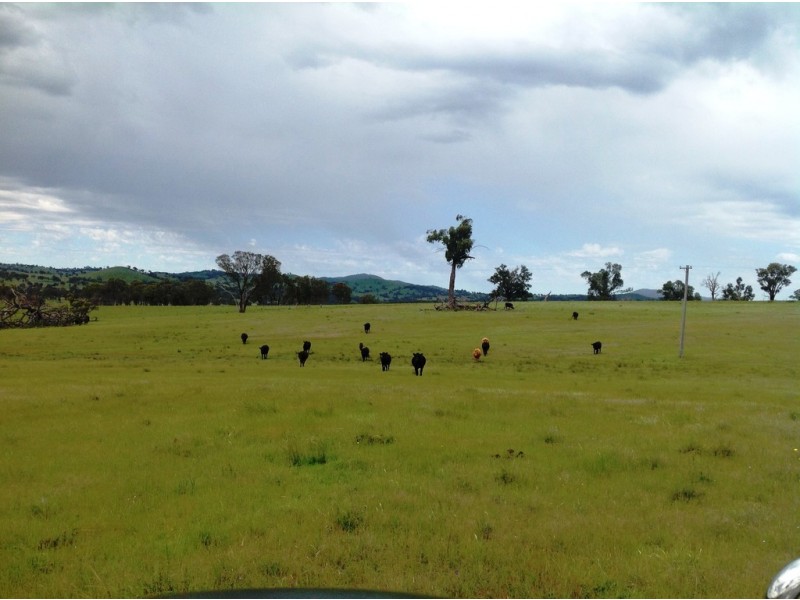 “Clifton” New England Highway, Bendemeer NSW 2355
