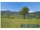 1969 Crawney Road, Murrurundi NSW 2338