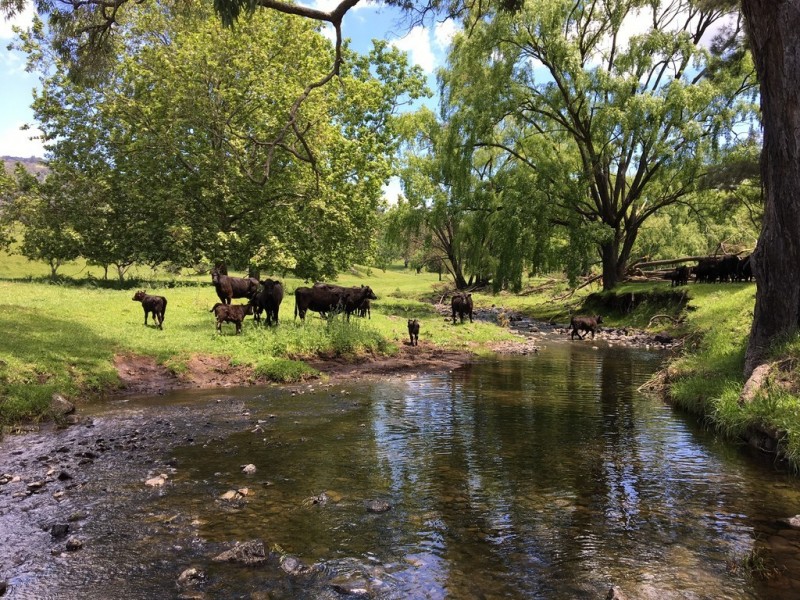 1969 Crawney Road, Murrurundi NSW 2338