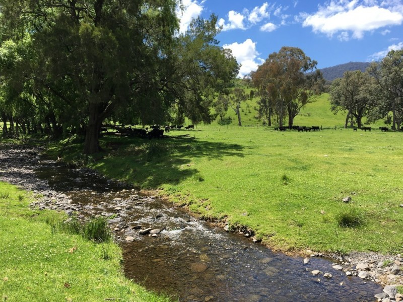 1969 Crawney Road, Murrurundi NSW 2338