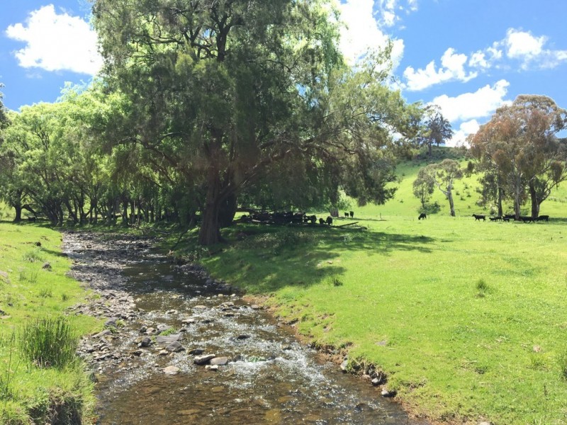 1969 Crawney Road, Murrurundi NSW 2338