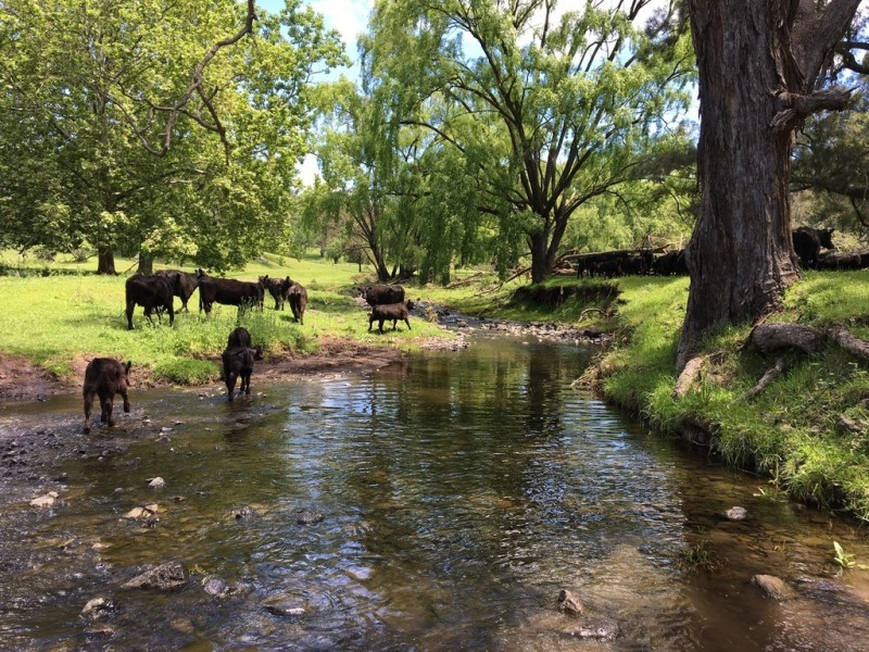 1969 Crawney Road, Murrurundi NSW 2338