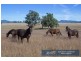 “Boronia” 170 Piles Road, Duri NSW 2344