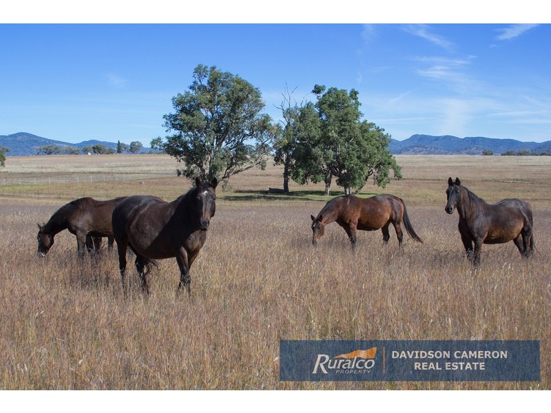 “Boronia” 170 Piles Road, Duri NSW 2344