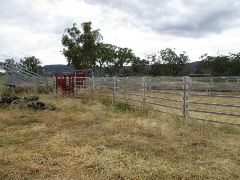 The Pines 1563 Wimborne Road, Manilla NSW 2346