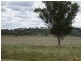 The Pines 1563 Wimborne Road, Manilla NSW 2346