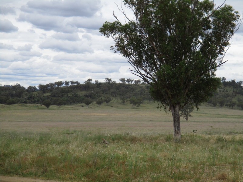 The Pines 1563 Wimborne Road, Manilla NSW 2346