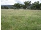 The Pines 1563 Wimborne Road, Manilla NSW 2346