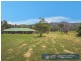 299 Tintinhull Road, Tintinhull NSW 2352