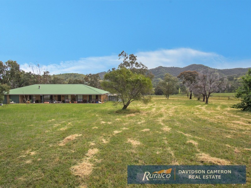 299 Tintinhull Road, Tintinhull NSW 2352