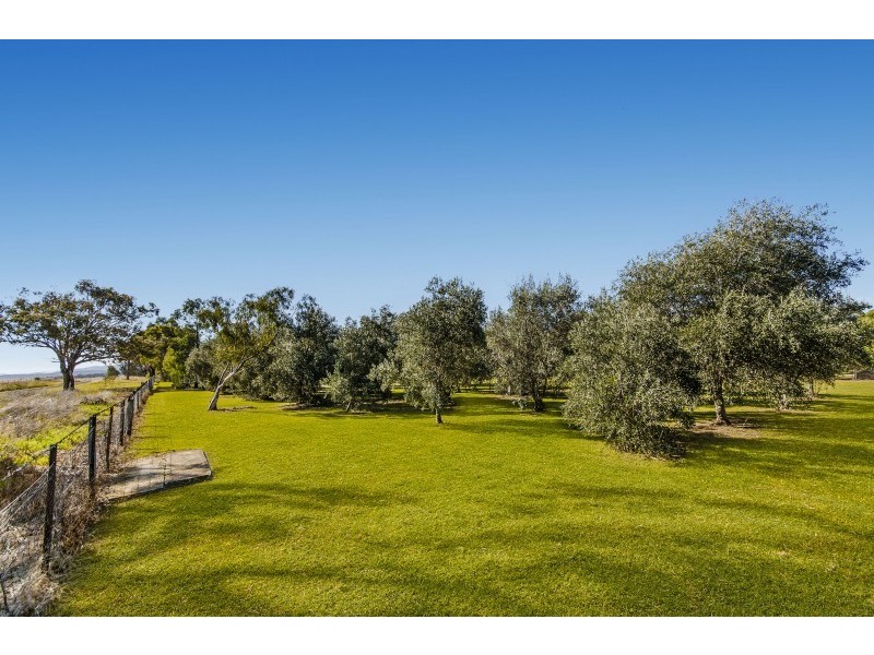 20 Hartmann Drive, Tamworth NSW 2340