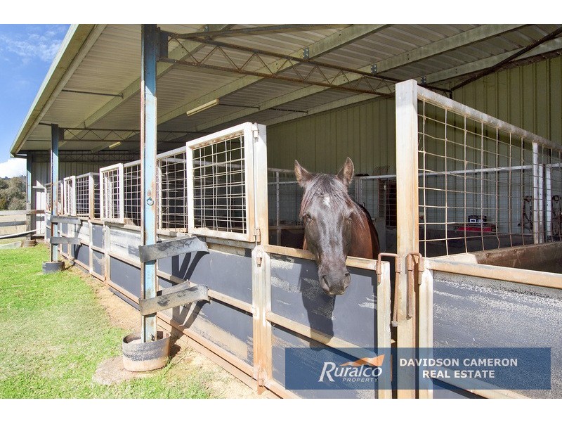 Kingsford 251 Mulla Creek Road, Tamworth NSW 2340