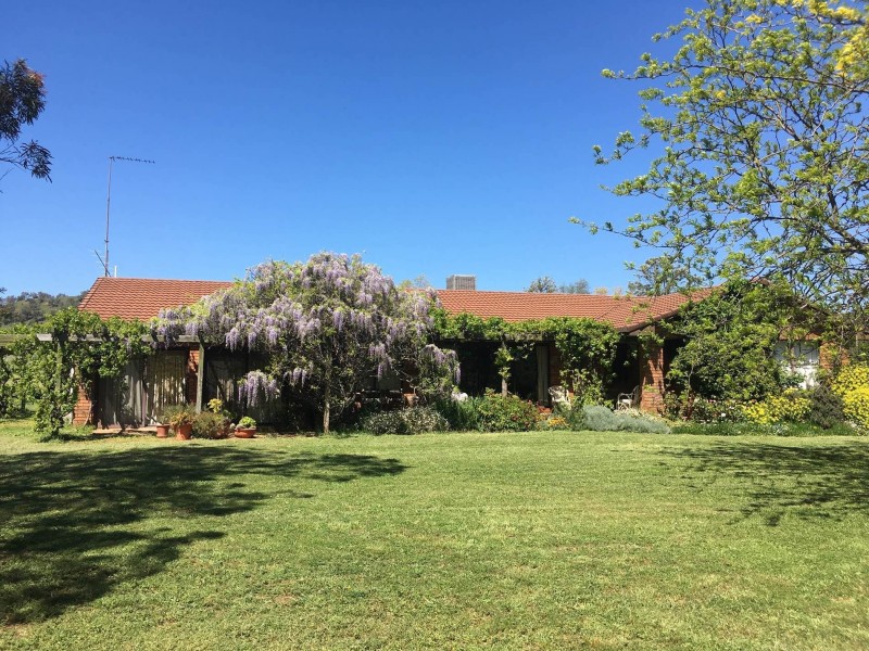 Mount Mitchell 50 Wyuna Road, Mullaley NSW 2379