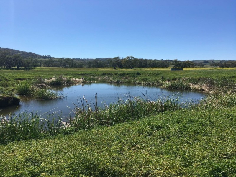 Mount Mitchell 50 Wyuna Road, Mullaley NSW 2379