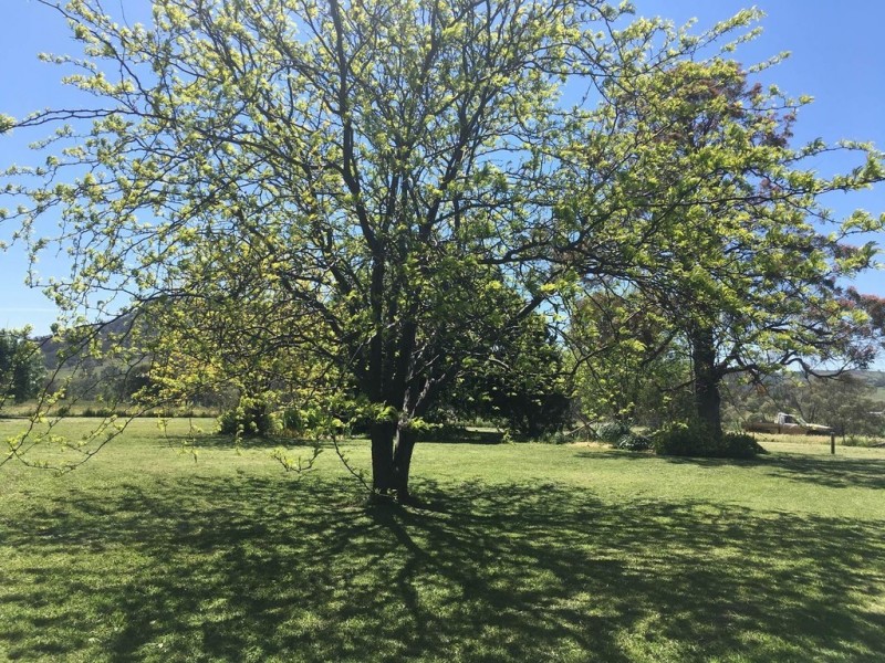 Mount Mitchell 50 Wyuna Road, Mullaley NSW 2379