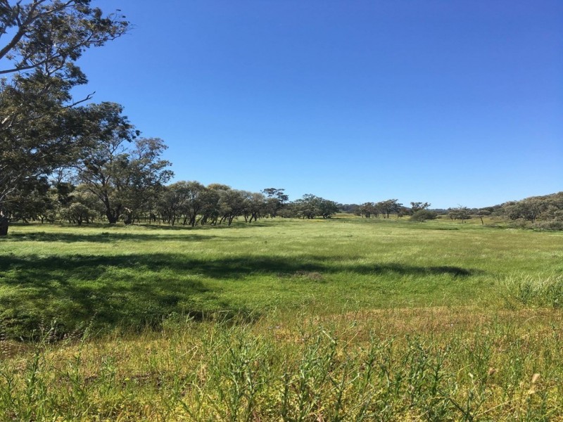 Mount Mitchell 50 Wyuna Road, Mullaley NSW 2379