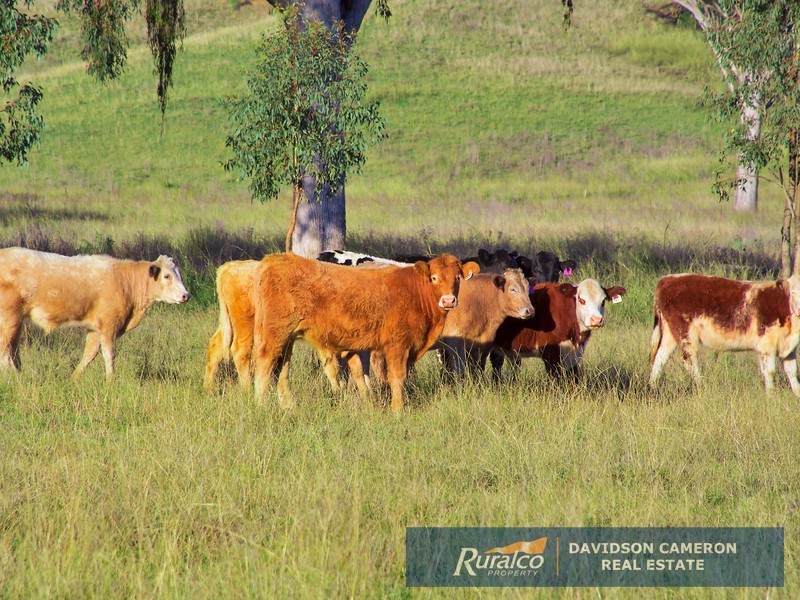 “Chelsea” 952 Halls Creek Road, Manilla NSW 2346