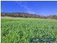 “Chelsea” 952 Halls Creek Road, Manilla NSW 2346