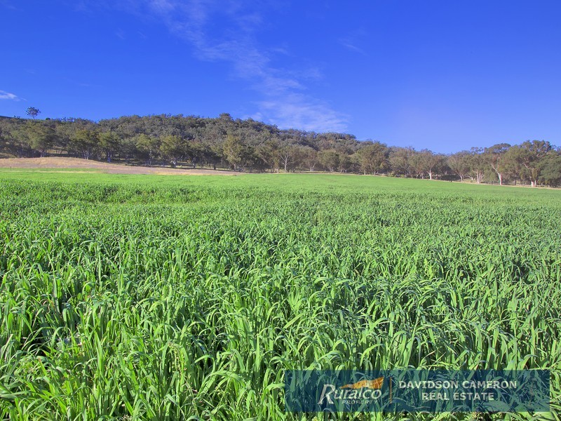 “Chelsea” 952 Halls Creek Road, Manilla NSW 2346