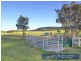 “Chelsea” 952 Halls Creek Road, Manilla NSW 2346