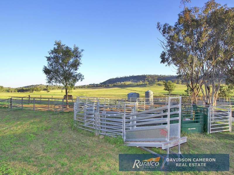 “Chelsea” 952 Halls Creek Road, Manilla NSW 2346