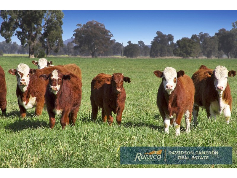 “Roslyn” 100 Leys Road, Piallaway NSW 2342