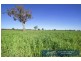 “Roslyn” 100 Leys Road, Piallaway NSW 2342