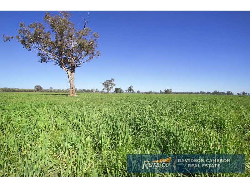 “Roslyn” 100 Leys Road, Piallaway NSW 2342