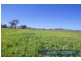 “Roslyn” 100 Leys Road, Piallaway NSW 2342