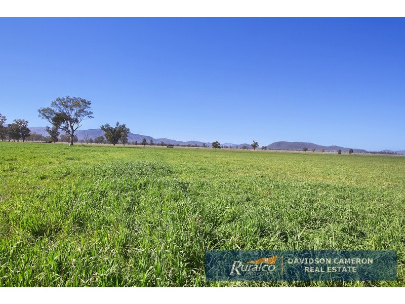 “Roslyn” 100 Leys Road, Piallaway NSW 2342