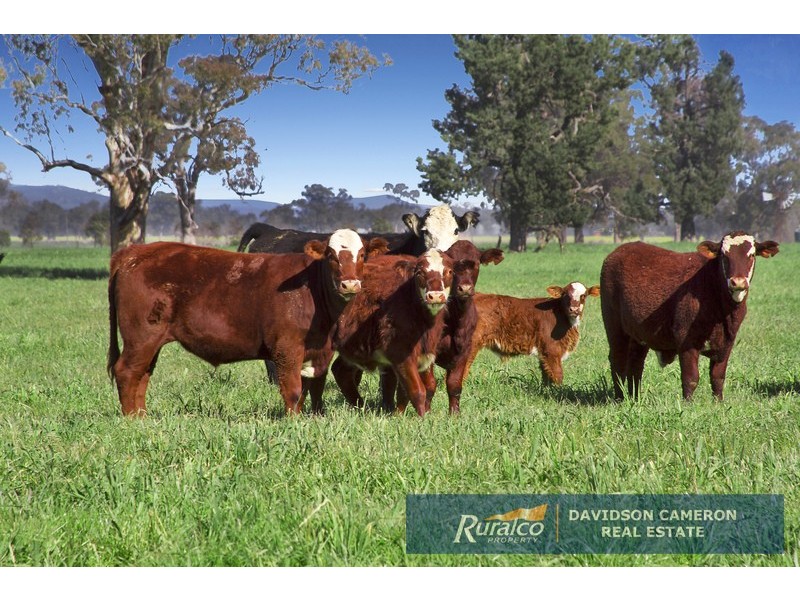 “Roslyn” 100 Leys Road, Piallaway NSW 2342