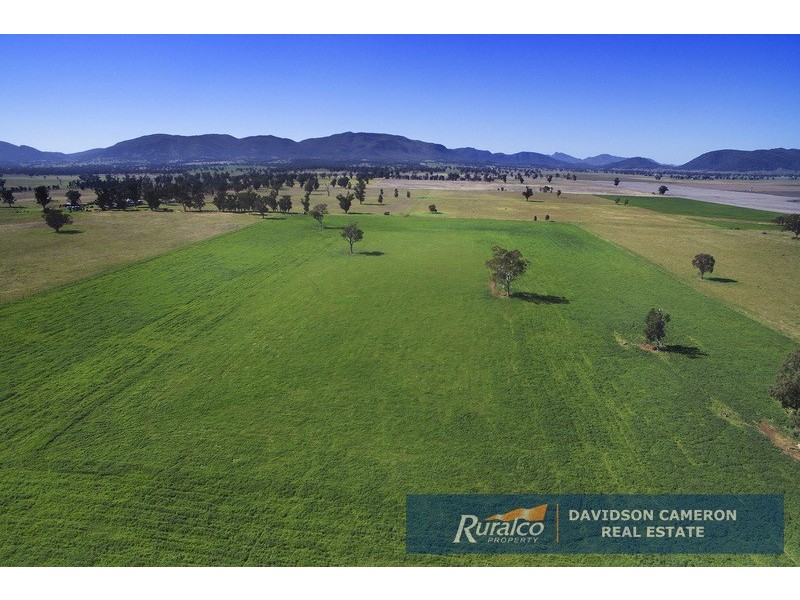 “Roslyn” 100 Leys Road, Piallaway NSW 2342
