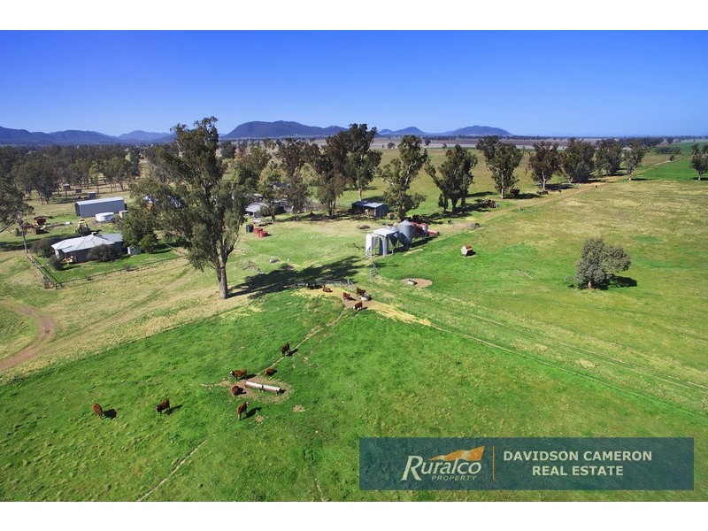 “Roslyn” 100 Leys Road, Piallaway NSW 2342