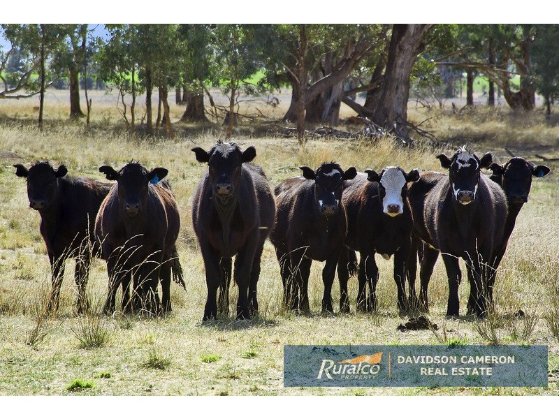 277 New Winton Road, Tamworth NSW 2340