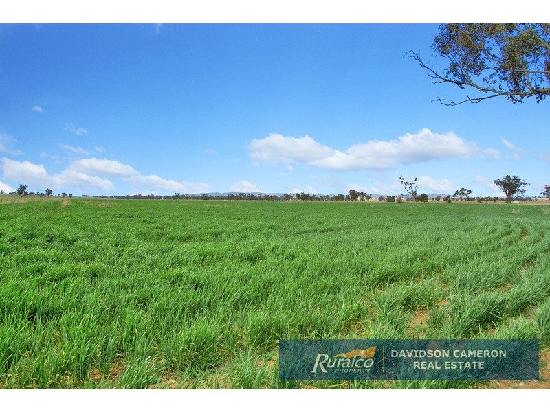 Canberra 982 Warral Bithramere Road, Tamworth NSW 2340