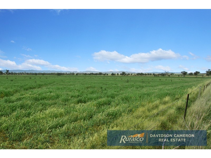 Canberra 982 Warral Bithramere Road, Tamworth NSW 2340