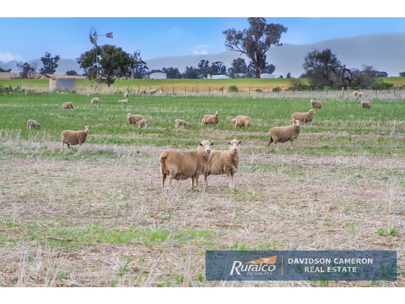 Canberra 982 Warral Bithramere Road, Tamworth NSW 2340