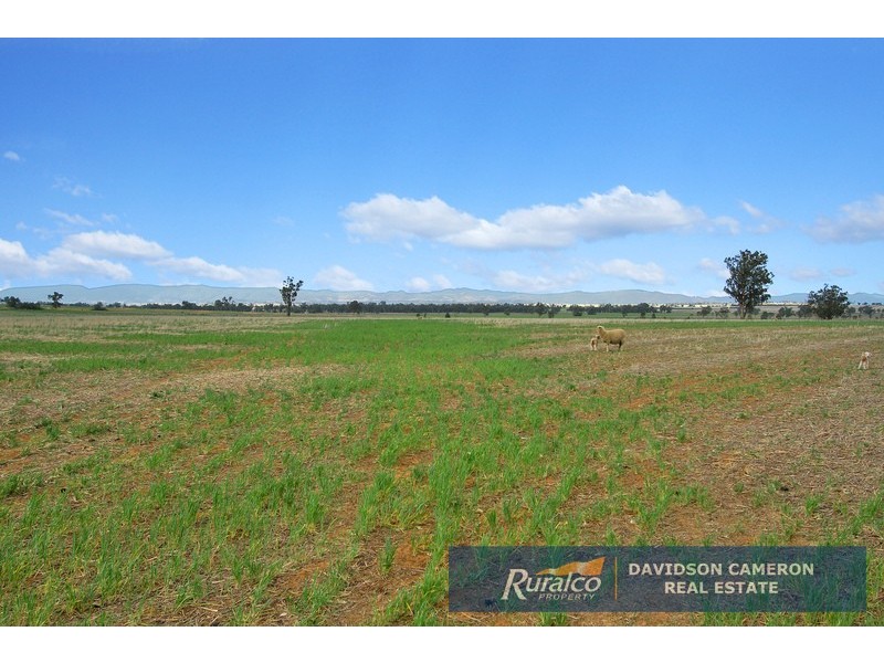 Canberra 982 Warral Bithramere Road, Tamworth NSW 2340