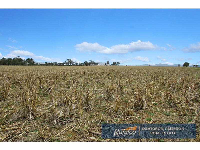 Canberra 982 Warral Bithramere Road, Tamworth NSW 2340