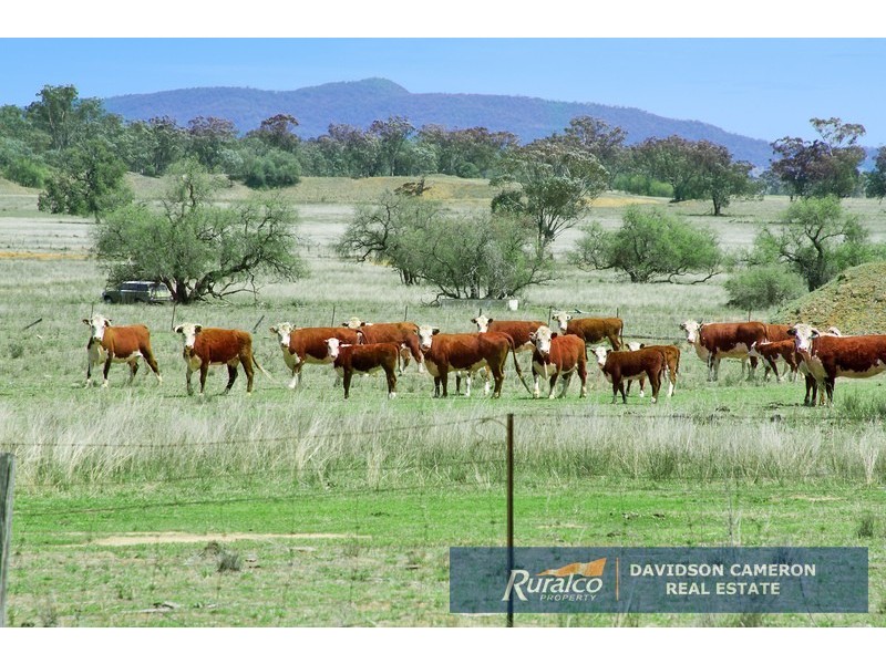 Granland Park 429 Soldiers Settlement Road, Tamworth NSW 2340