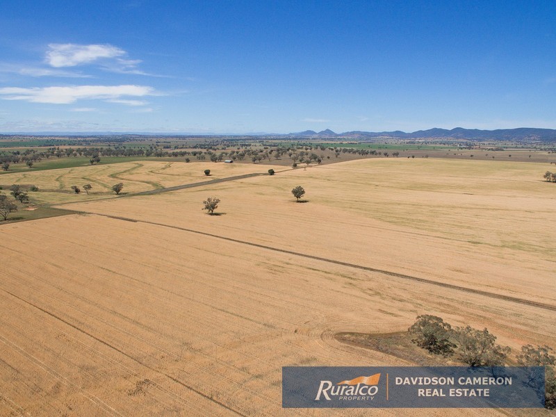 Gundaroo Babbinboon Road, Tamworth NSW 2340