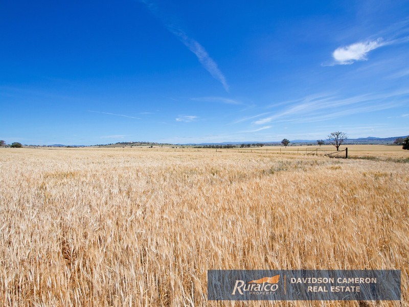 Gundaroo Babbinboon Road, Tamworth NSW 2340